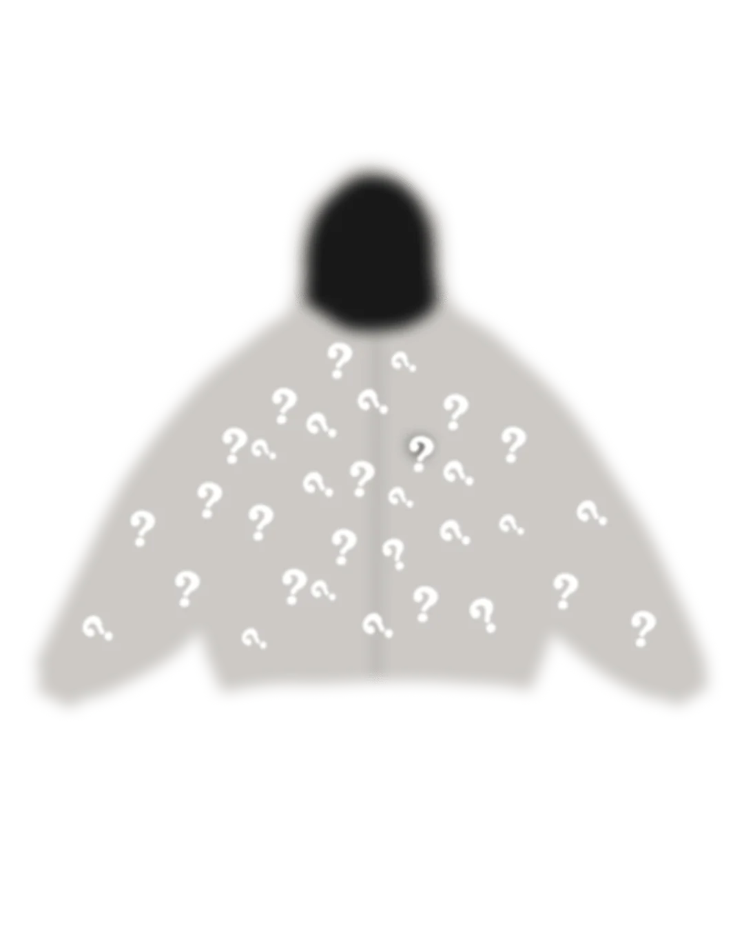 Mystery Zip Up by Red Letters